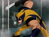 Wolverine Escape