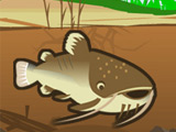 Jouez sur Cat Fish Fry