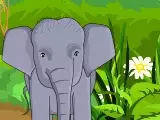 Feed The Baby Elephants