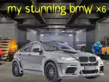 My Stunning BMW X6