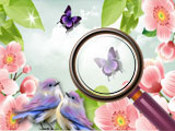 Играть на Spring Differences
