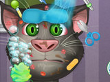 Играть на Talking Tom Great Makeover