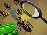 Juega en Protect Peas