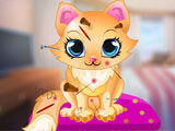 Jouez sur Cute Cat Salon