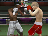 Punch Boxing Championship