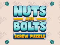Play on Nuts And Bolts Screw Puzzle