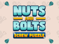 Play on Nuts And Bolts Screw Puzzle